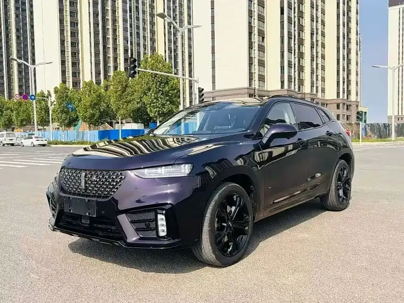 Wey VV7, 2020