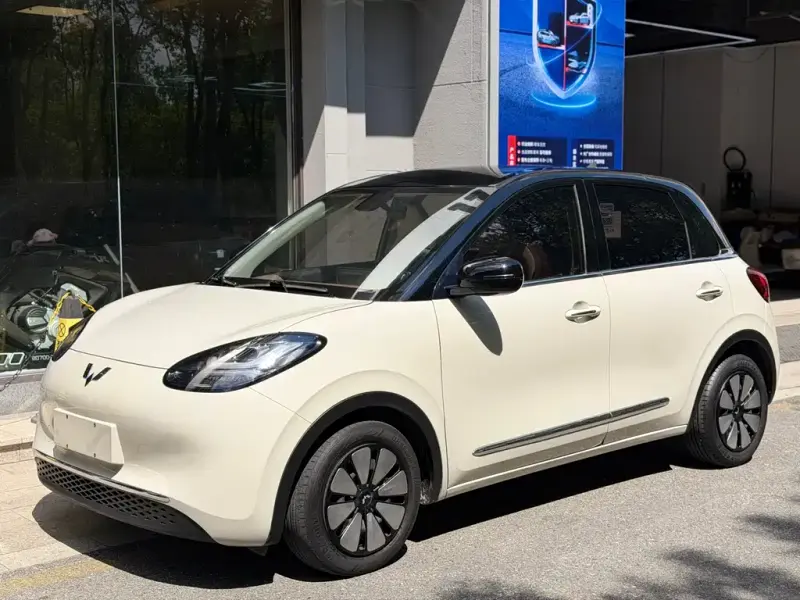 Wuling Bingo, 2024