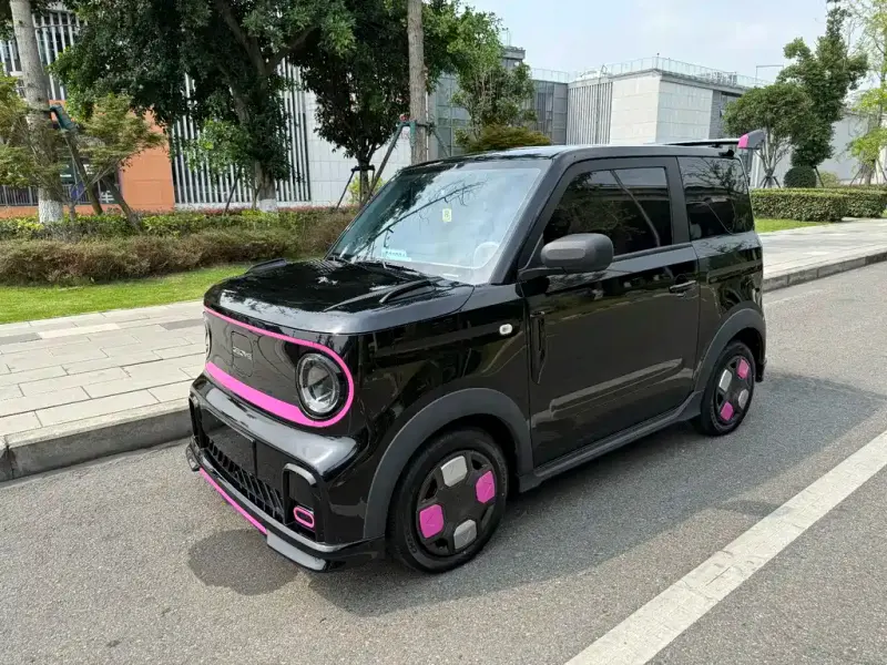 Galaxy Panda, 2024