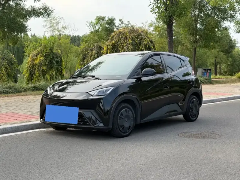 BYD Seagull, 2023
