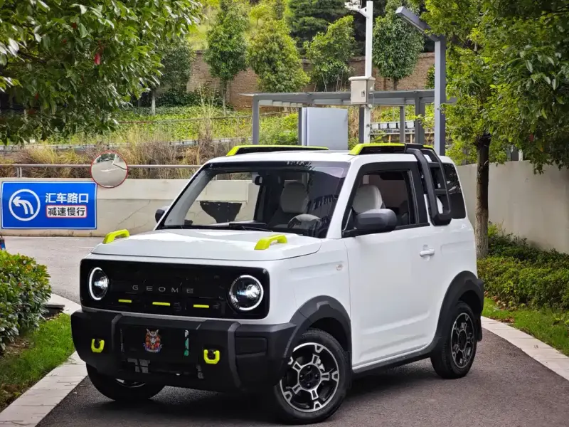 Galaxy Panda, 2025
