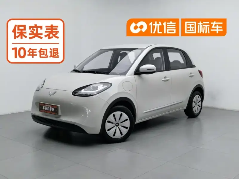 Wuling Bingo, 2024