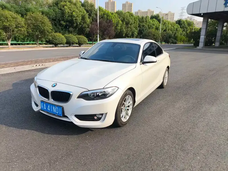 BMW 2 Series (Import), 2015