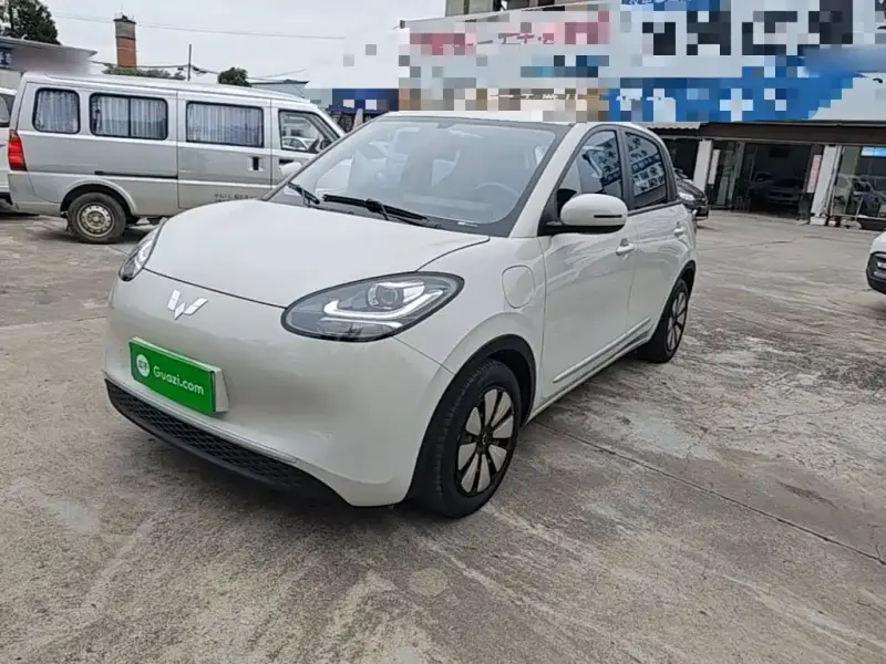 Wuling Bingo, 2023
