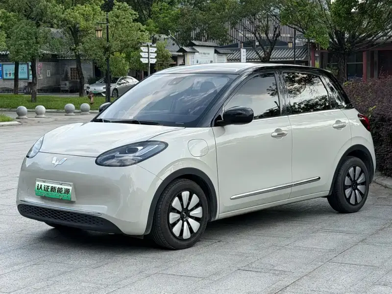 Wuling Bingo, 2023