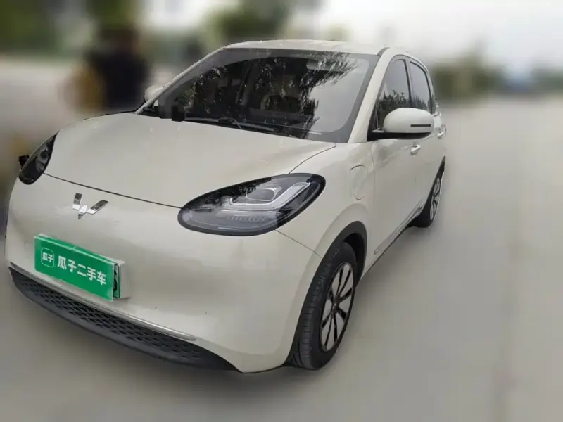 Wuling Bingo, 2023