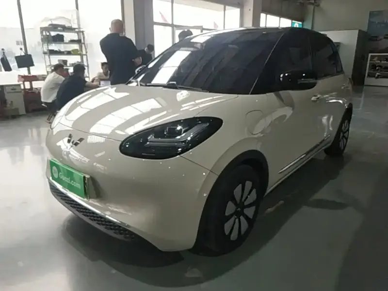 Wuling Bingo, 2024