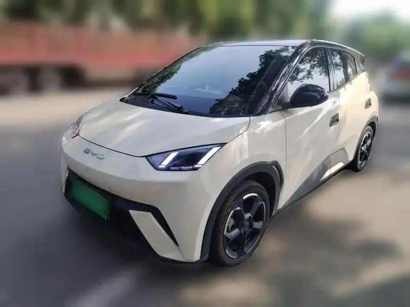 BYD Seagull, 2024