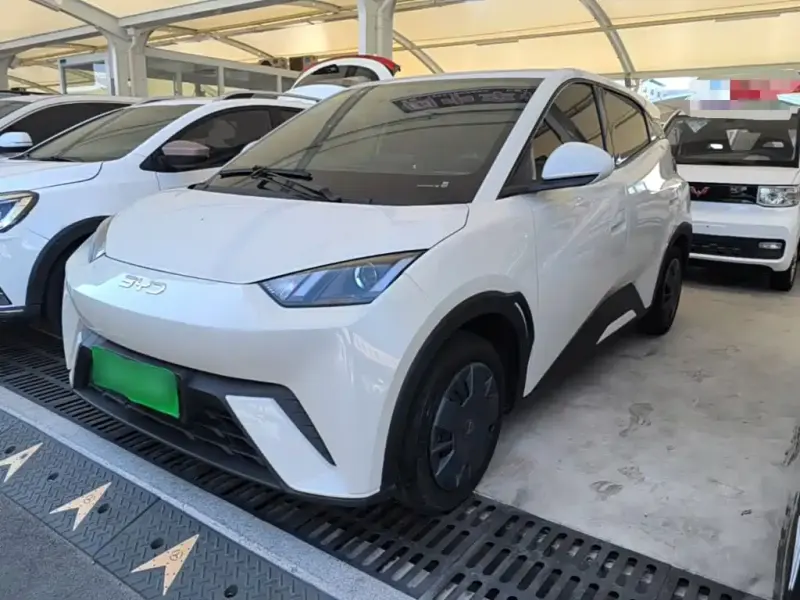 BYD Seagull, 2024