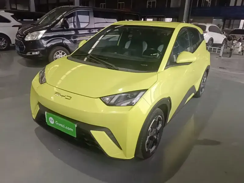 BYD Seagull, 2023
