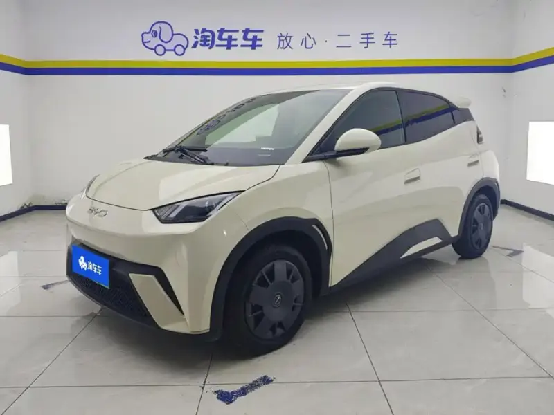 BYD Seagull, 2024