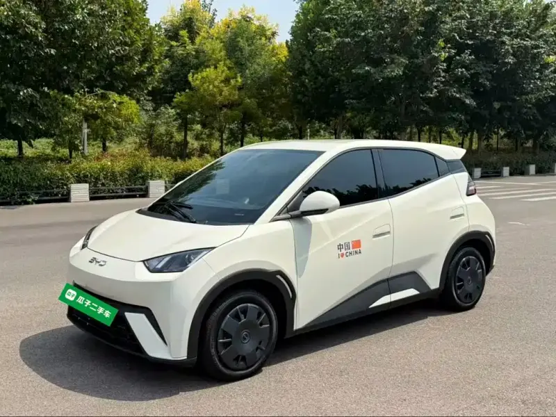 BYD Seagull, 2024