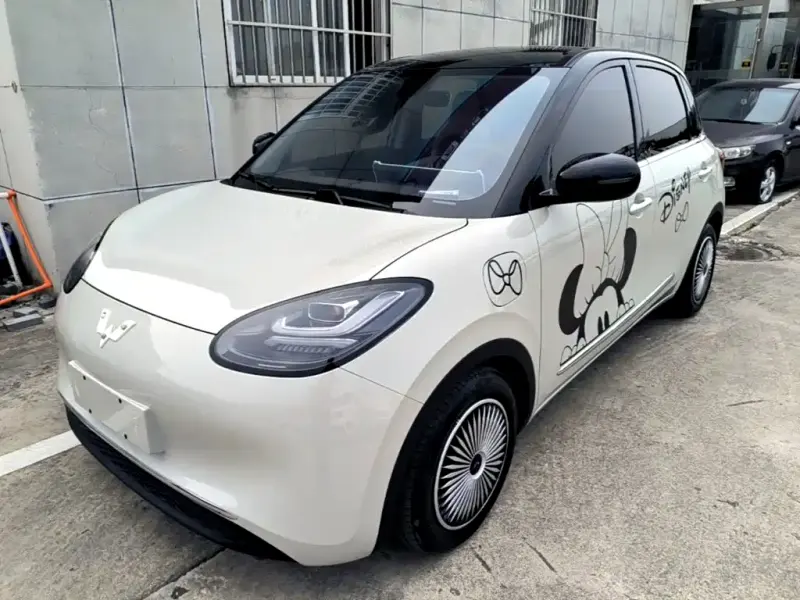 Wuling Bingo, 2024