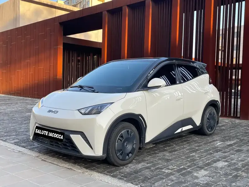 BYD Seagull, 2025