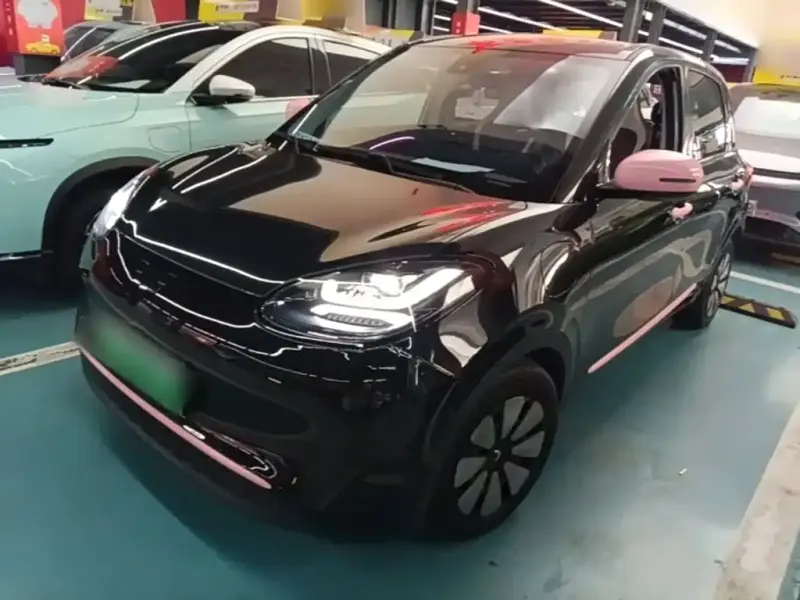 Wuling Bingo, 2024