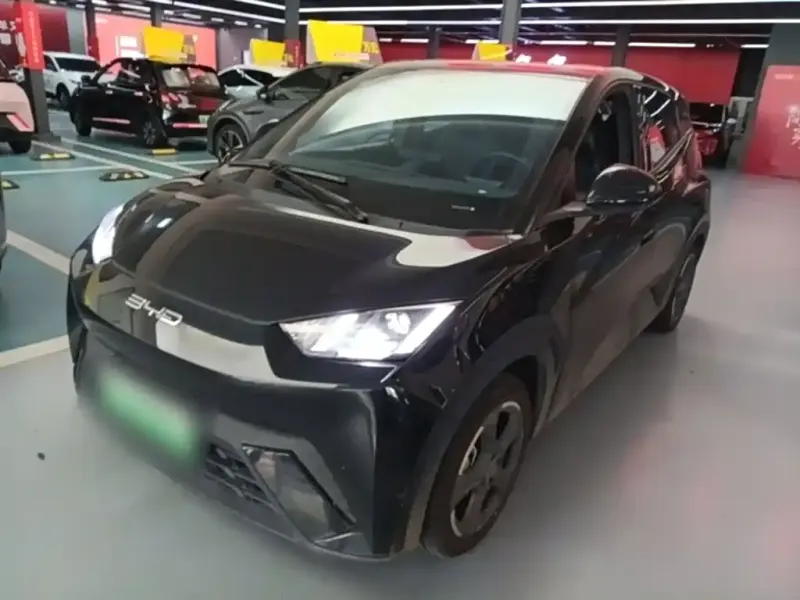 BYD Seagull, 2023