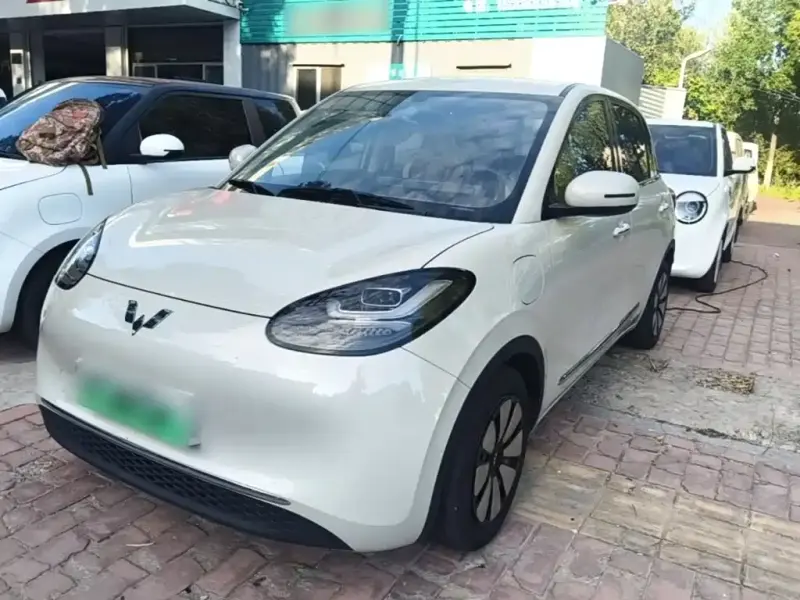 Wuling Bingo, 2024