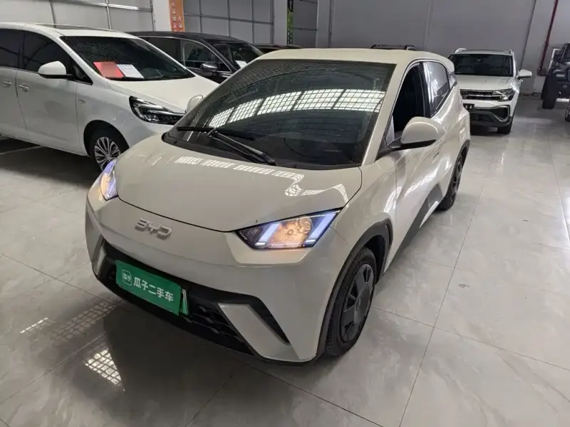 BYD Seagull, 2024