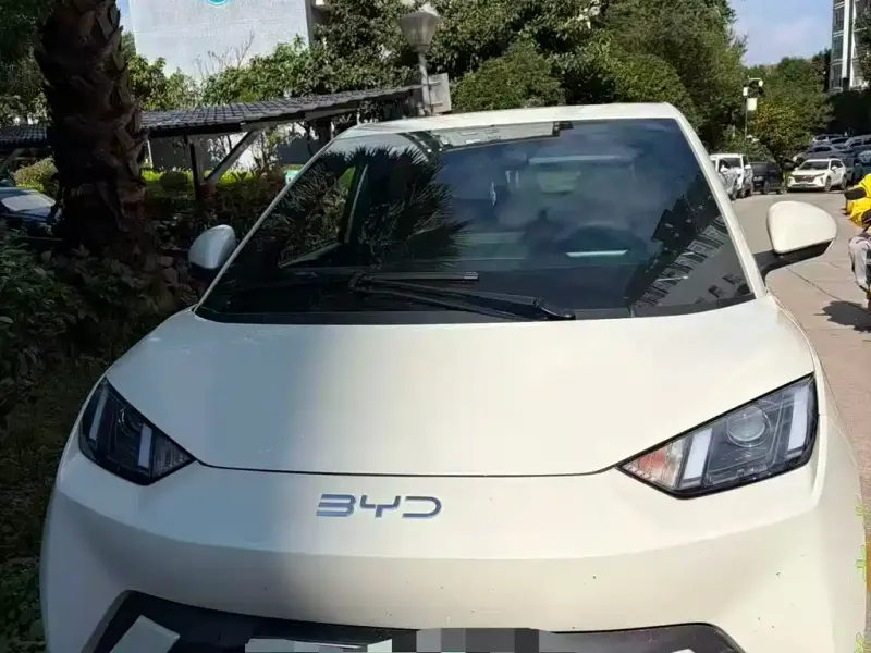 BYD Seagull, 2024
