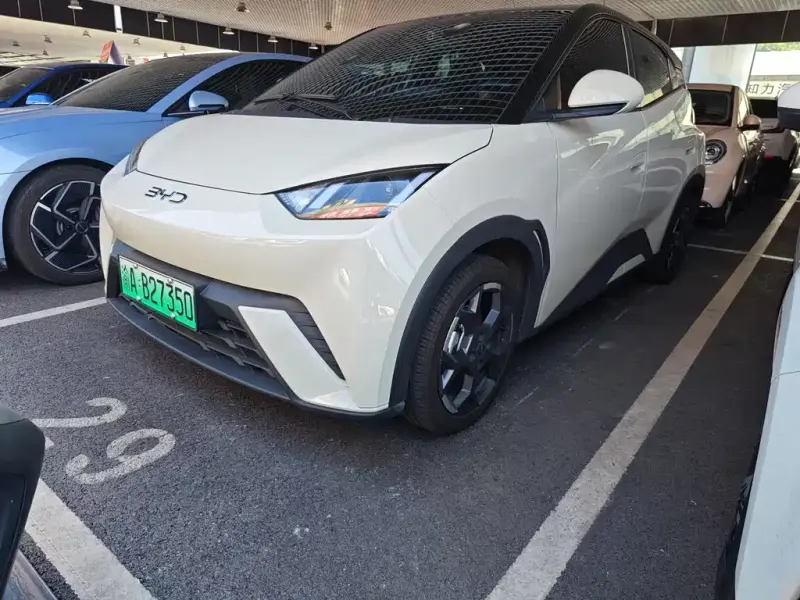 BYD Seagull, 2024
