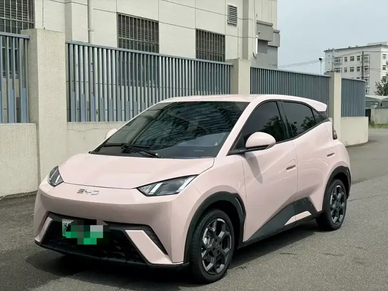BYD Seagull, 2024