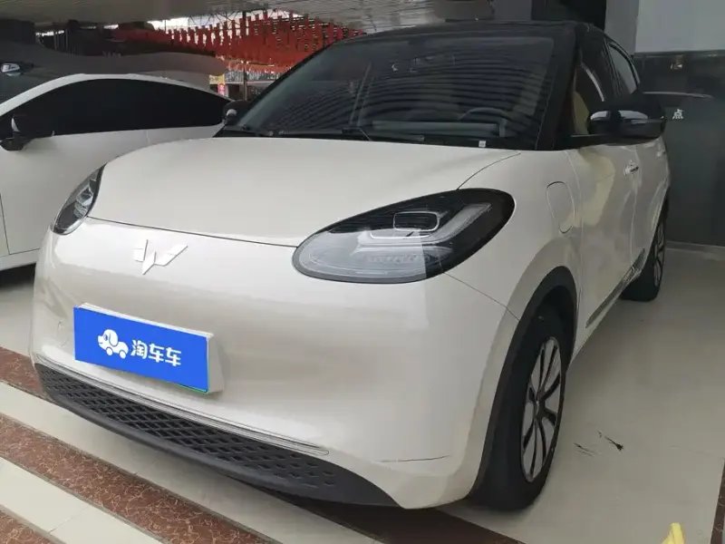 Wuling Bingo, 2024