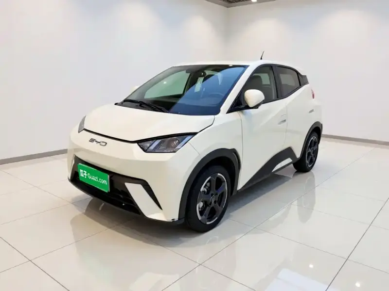 BYD Seagull, 2023
