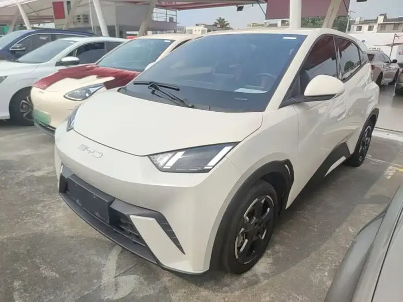 BYD Seagull, 2024
