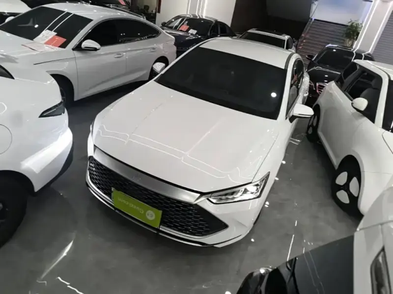 BYD Qin PLUS, 2024