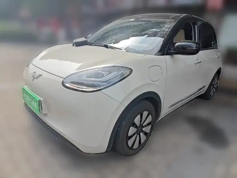 Wuling Bingo, 2024