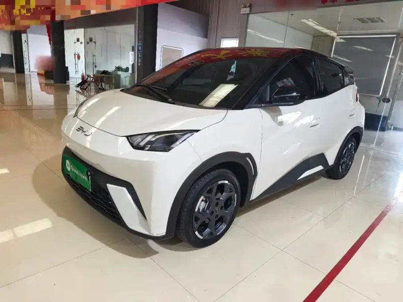 BYD Seagull, 2025