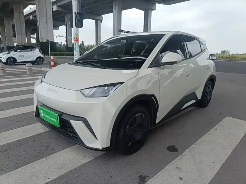BYD Seagull, 2025