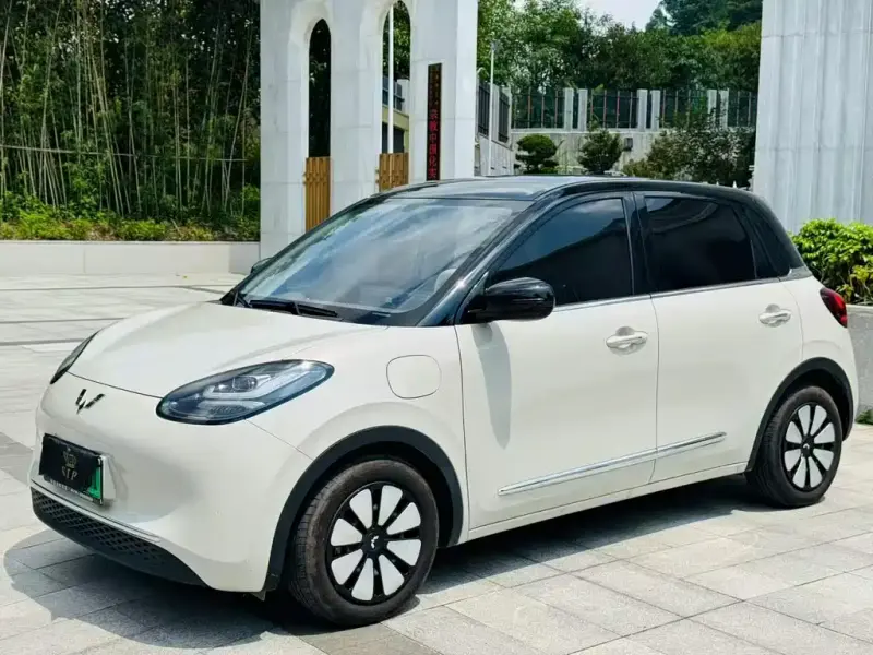 Wuling Bingo, 2025