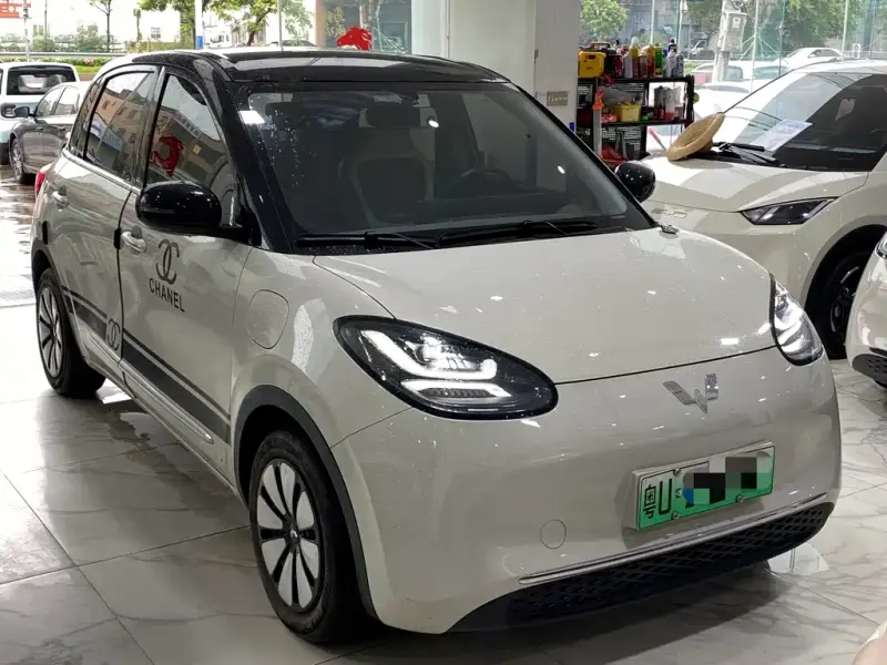 Wuling Bingo, 2024