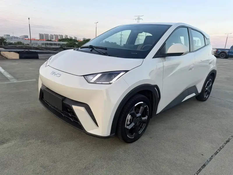 BYD Seagull, 2024