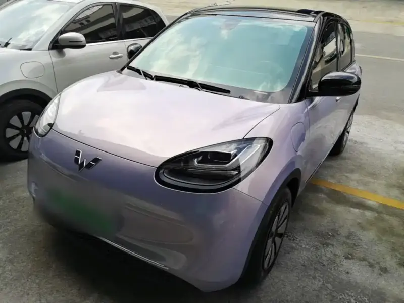 Wuling Bingo, 2025