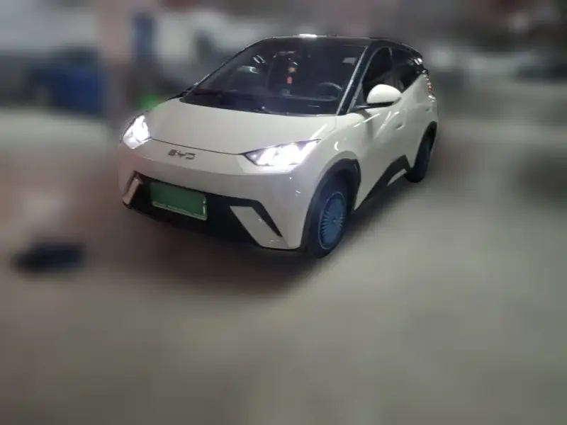 BYD Seagull, 2024