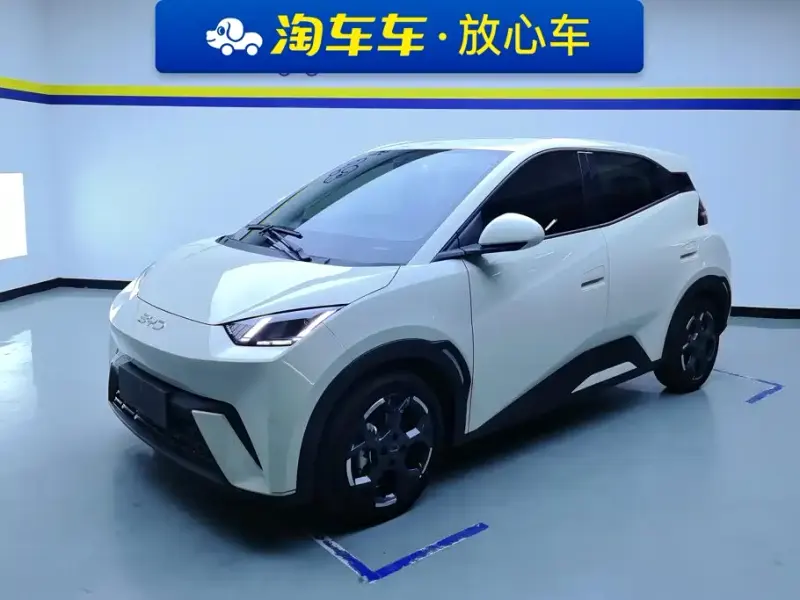BYD Seagull, 2024
