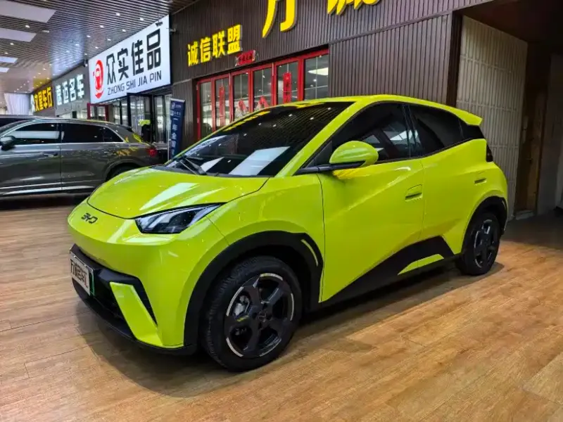 BYD Seagull, 2023