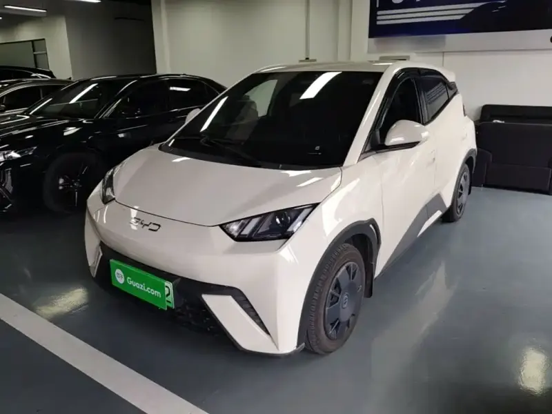 BYD Seagull, 2025
