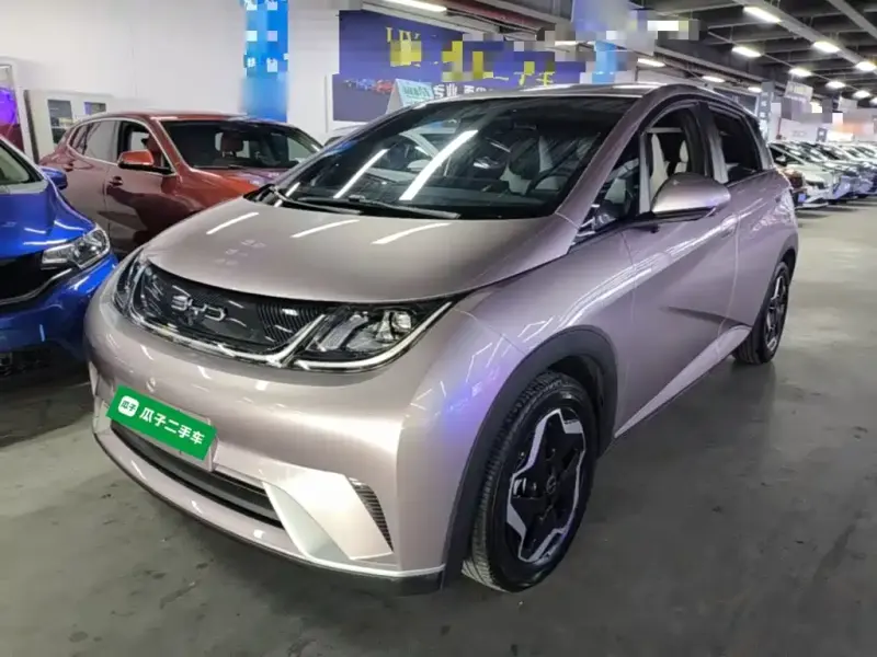 BYD Dolphin, 2022