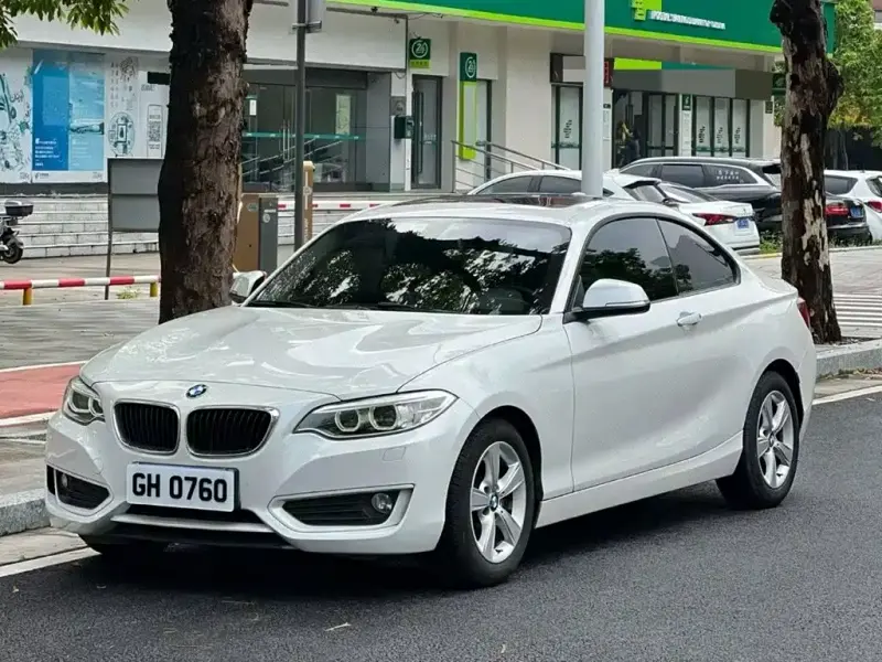 BMW 2 Series (Import), 2015