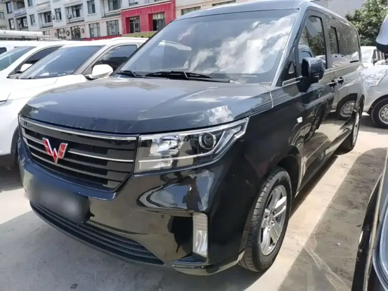 Wuling Zhengcheng, 2024