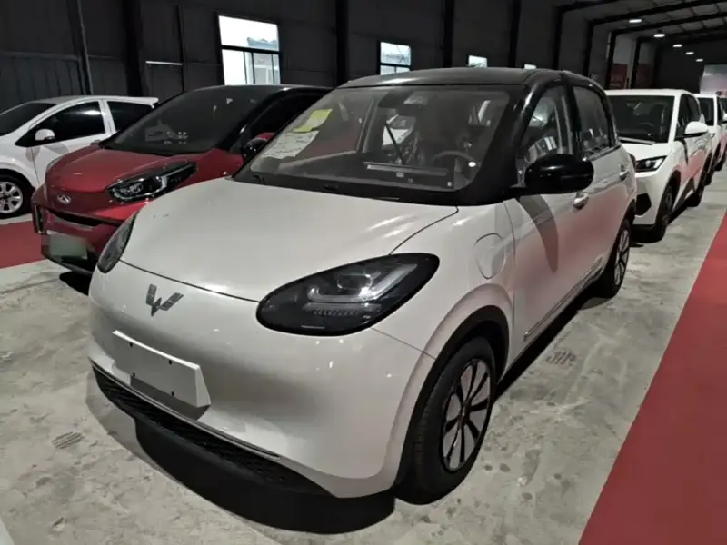 Wuling Bingo, 2026