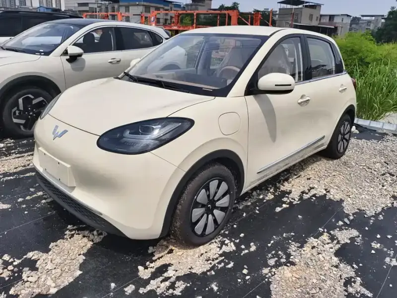 Wuling Bingo, 2026