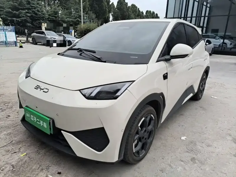 BYD Seagull, 2025