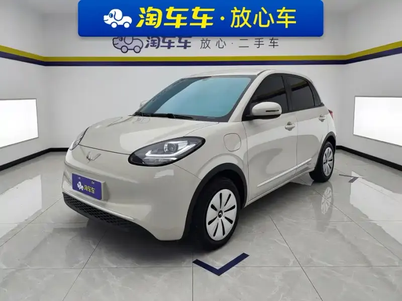 Wuling Bingo, 2024