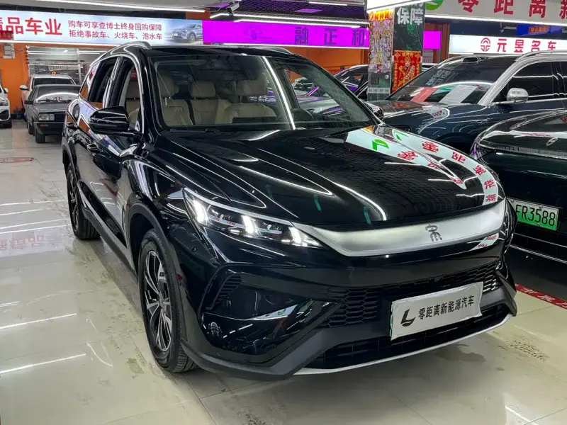 BYD Pro New Energy, 2024