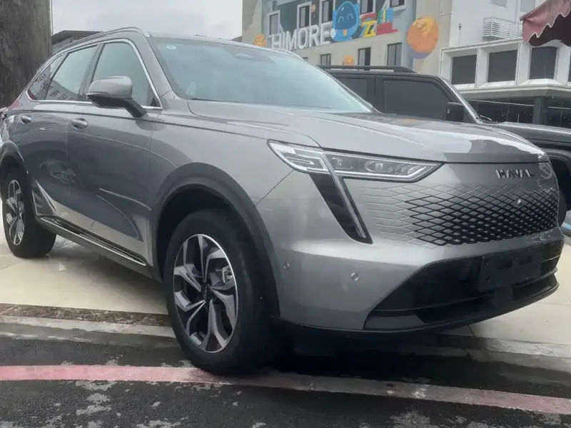 Haval Xiaolong MAX, 2024