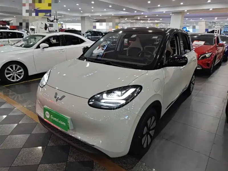 Wuling Bingo, 2023